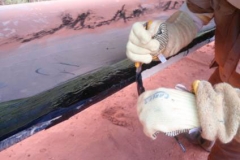 Presentación de PowerPoint