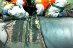 Presentación de PowerPoint