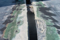 Presentación de PowerPoint